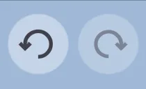 The undo and redo buttons.